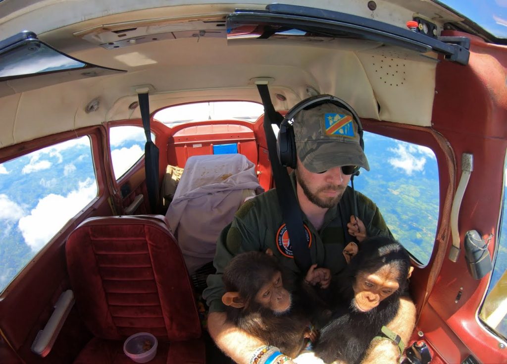 Storyboard Saving Chimpanzees in Congo Brent Stirton